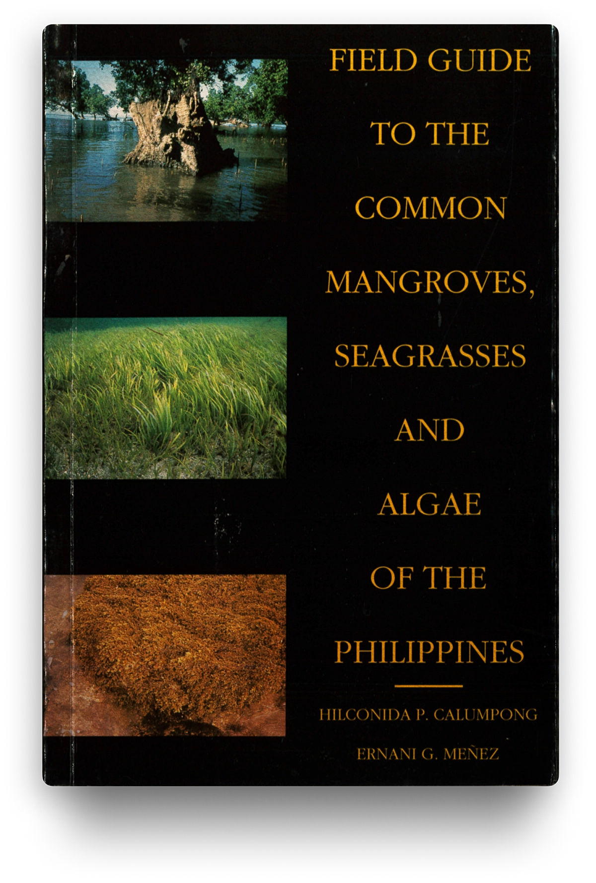 Field Guide to the Common Mangroves, Seagrasses, Ang Algae of the Philippines