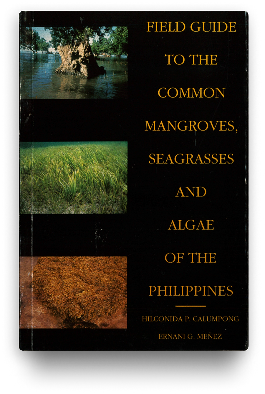 Field Guide to the Common Mangroves, Seagrasses, Ang Algae of the Philippines