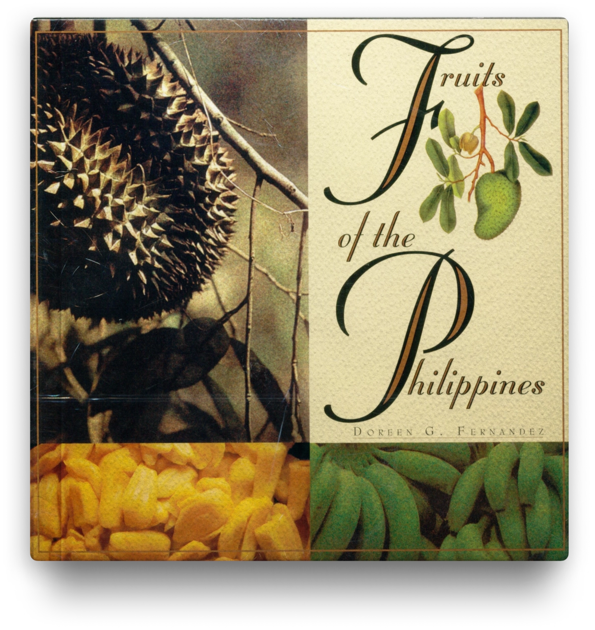 Fruits of the Philippines