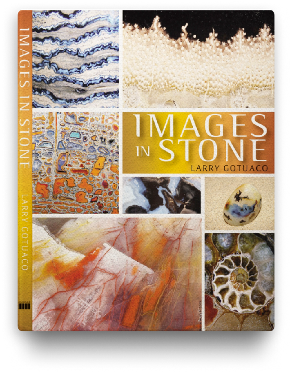 Images in Stone