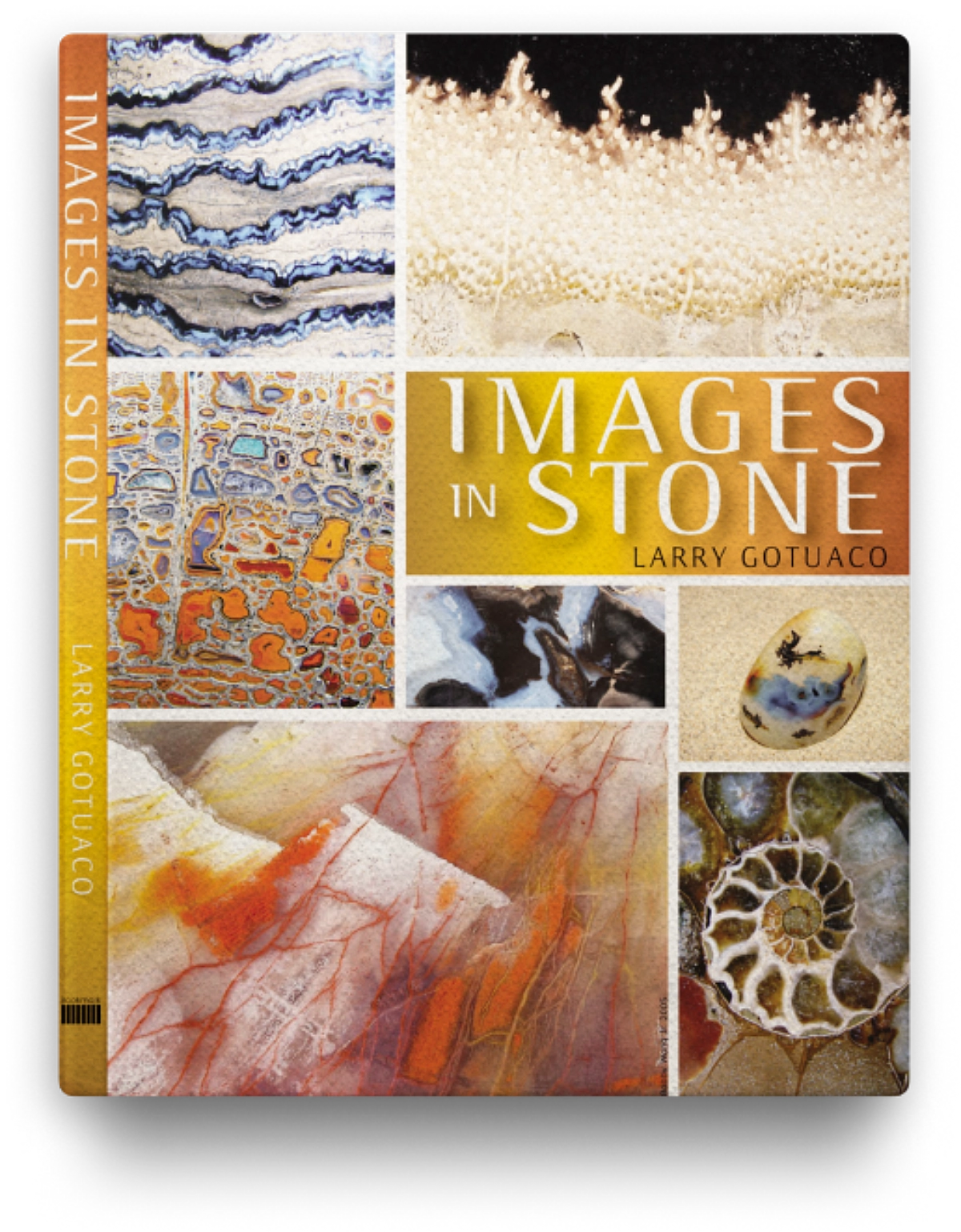 Images in Stone