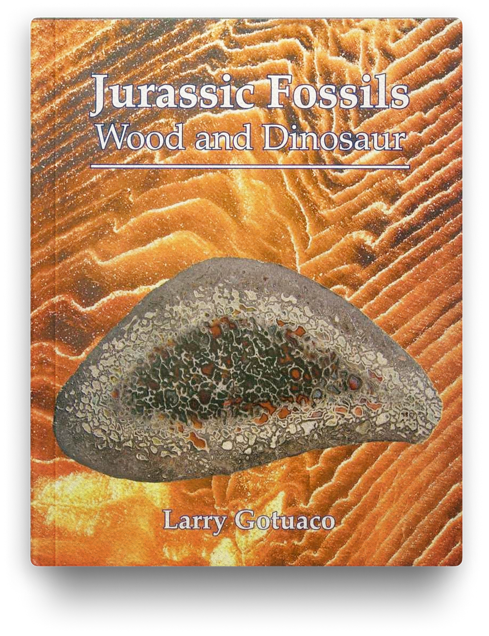 Jurassic Fossils: Wood And Dinosaur