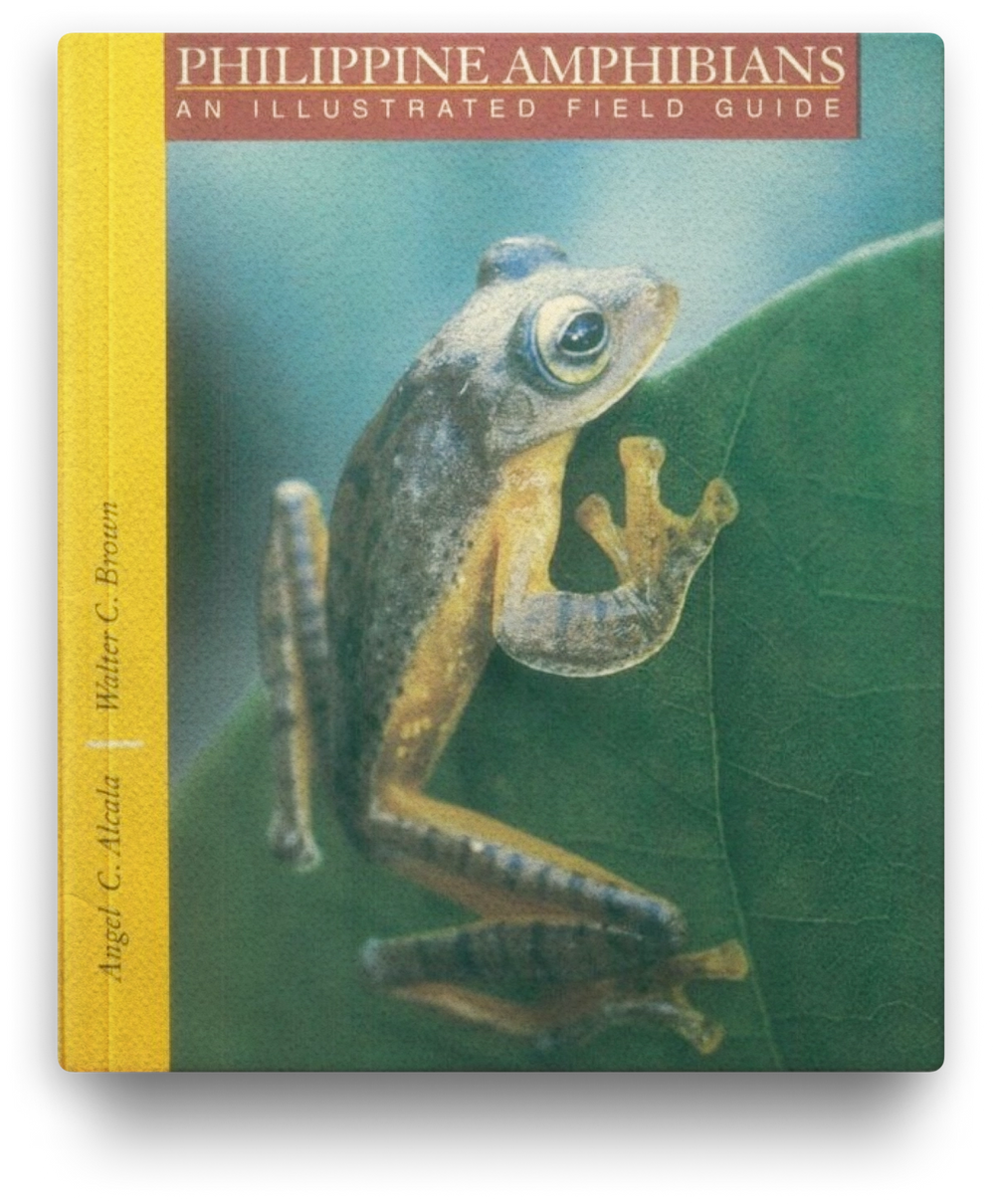 Philippine Amphibians: An Illustrated Field Guide