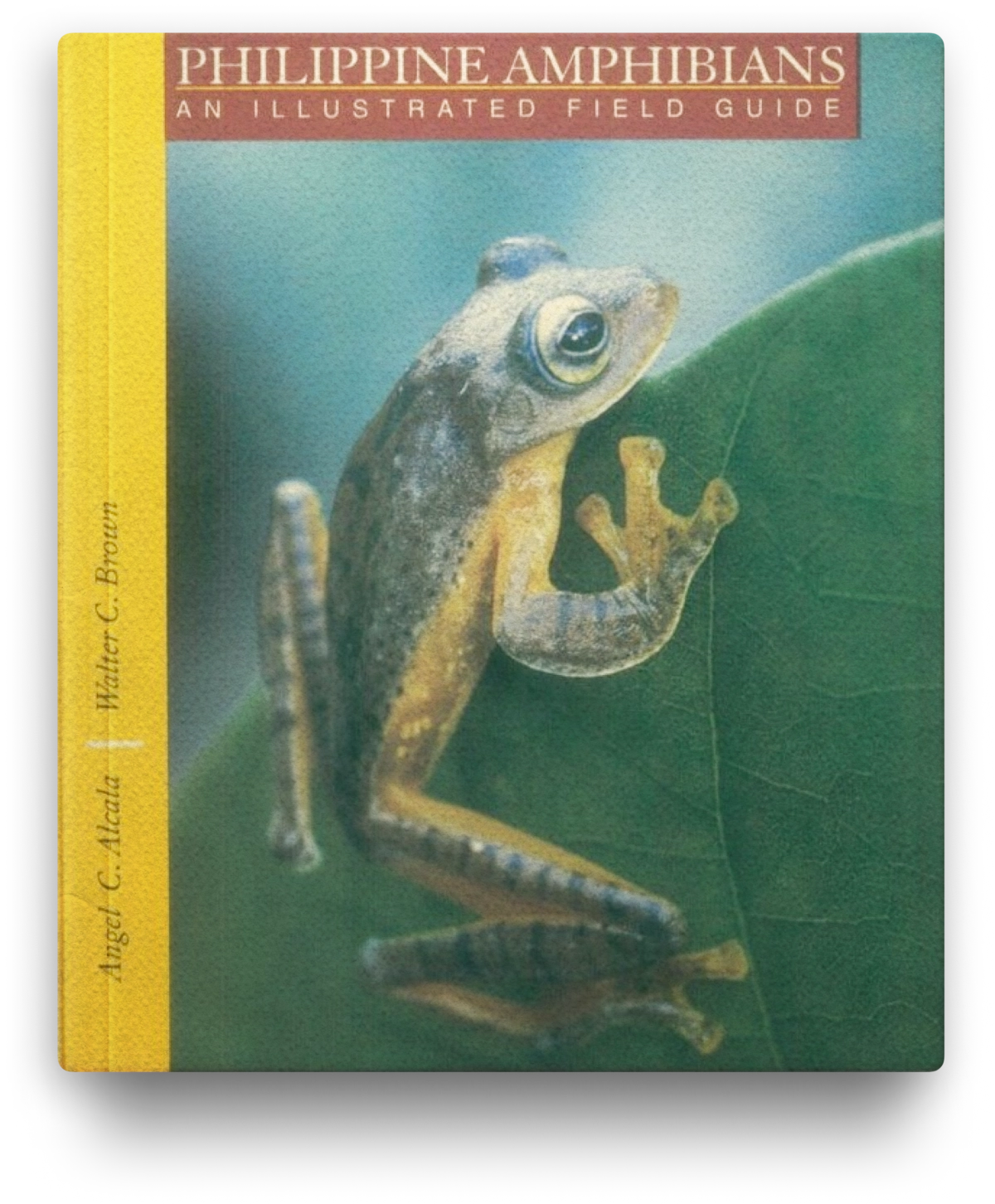 Philippine Amphibians: An Illustrated Field Guide