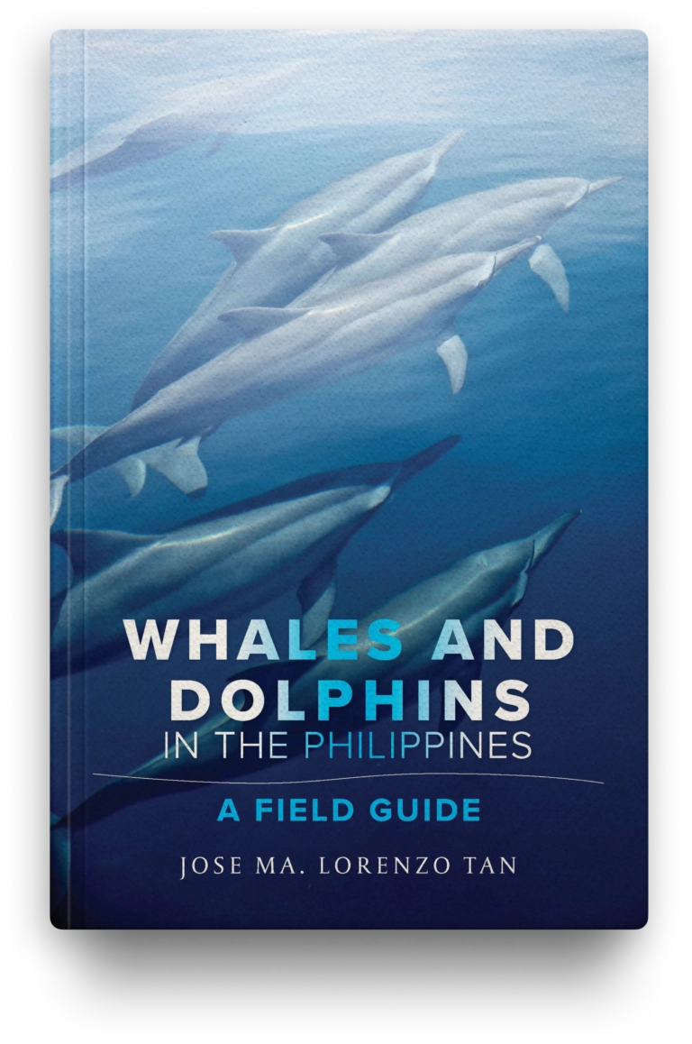 Whales and Dolphins in the Philippines: A Field Guide